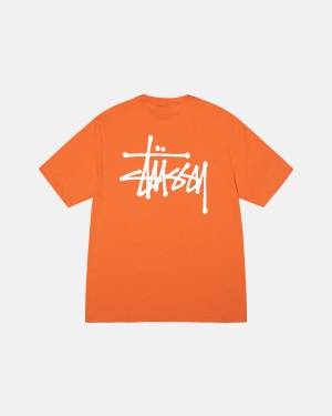 μπλουζακια για τρεξιμο Stussy Basic Stüssy κοραλι | 834-LEHVOS